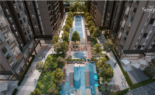 thiết kế dự án the senique