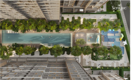 thiết kế dự án the senique