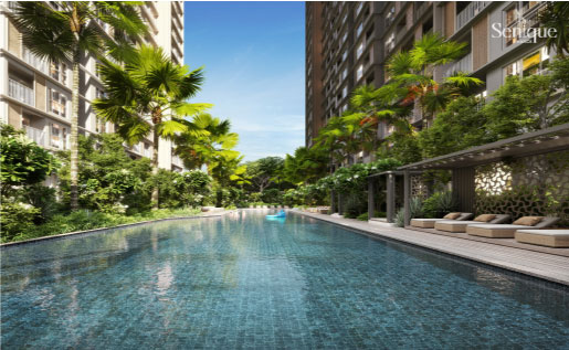 thiết kế dự án the senique