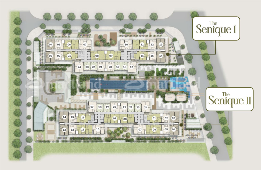 sản phẩm the senique hà nội